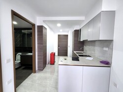 The Florence Residences (D19), Apartment #427086921